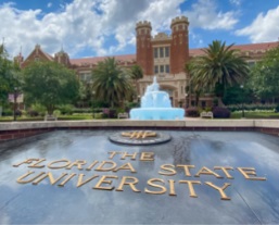 FSU Apartments