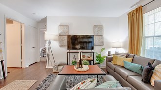 Apartment Living Room Example of a decorated, furnished apartment living room