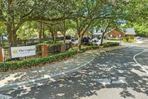 36-web-or-mls-DJI_0806