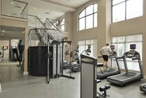 Photo #8