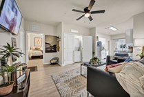 Luxe - Model - Living Room