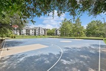 renew-tallahassee-apartment-homes-for-rent-tallahassee-fl-32303-basketball-courts