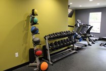 Gym - Med Balls _ Free Weights