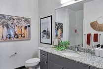 Model-Bathroom-03-The-Rowe-Tallahassee-FL-11