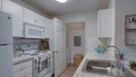 Luxury Apartments